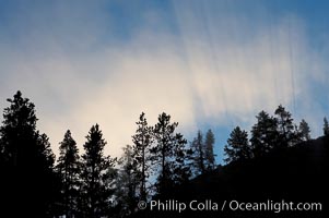 Sunlight and steam, early morning, Lower Geyser Basin, Yellowstone National Park, Wyoming