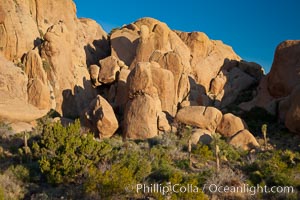 Sunrise on stone boulders, Joshua Tree National Park, desert southwest