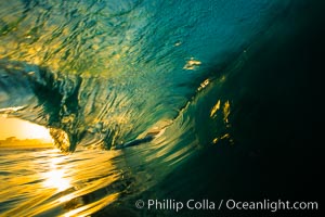 Sunrise breaking wave, dawn surf.