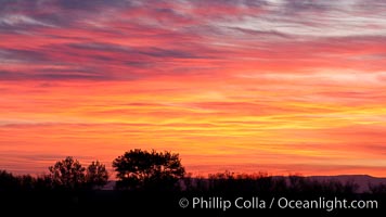 Sunrise and colorful clouds fill the sky, Bosque Del Apache, Socorro, New Mexico
