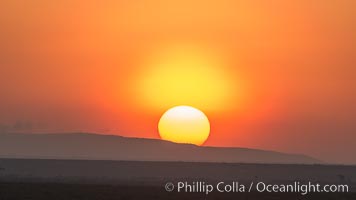 Sunrise and sun pillar, greater Maasai Mara, Kenya, Maasai Mara National Reserve