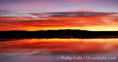 Sunrise over Bosque del Apache.  Rich predawn colors are reflected in the main impoundment pond in the refuge, Bosque del Apache National Wildlife Refuge, Socorro, New Mexico