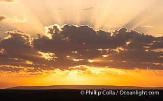 Sunrise over the Masai Mara, Kenya, Maasai Mara National Reserve