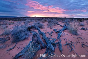 Sunrise over the South Coyote Buttes, Paria Canyon-Vermilion Cliffs Wilderness, Arizona