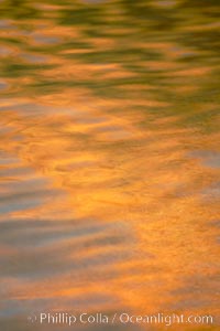 Orange aspen trees are reflected in the smooth calm water of North Lake.