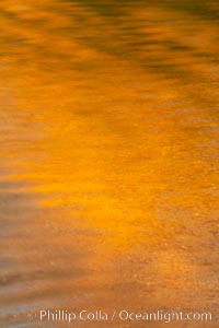 Orange aspen trees are reflected in the smooth calm water of North Lake, Bishop Creek Canyon, Sierra Nevada Mountains