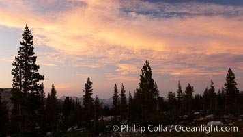 Sunset clouds and trees, Vogelsang High Sierra Camp, summer in Yosemite's high country, Yosemite National Park, California