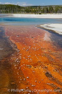 Colorful bacteria mats mark the runoff from Sunset Lake, Black Sand Basin, Yellowstone National Park, Wyoming