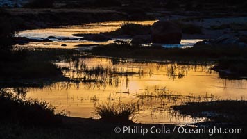 Sunset reflections in the Tuolumne River, Tuolumne Meadows, Yosemite National Park, California