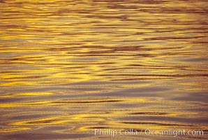 Sunset and water, Sea of Cortez, Mexico.