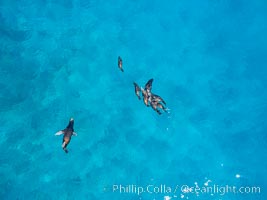 Suwanee Reef, Sea of Cortez, Aerial Photo