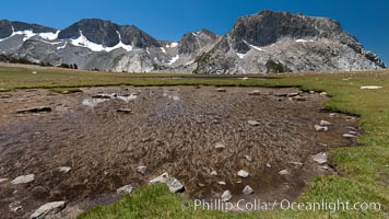 Tadpole tarns, a group of four small ponds on the rise above Evelyn and Townsley Lakes, that are full of tadpoles in late summer.  Fletcher Peak rises to the right, the Cathedral Range to the left, Yosemite National Park, California