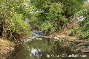 Tana River, Meru National Park, Kenya