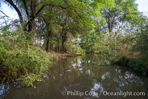 Tana River, Meru National Park, Kenya