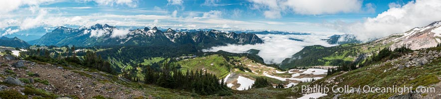 The Tatoosh Range viewed from the Skyline Trail, above Paradise Meadows on southern flank of Mount Rainier, Mount Rainier National Park, Washington