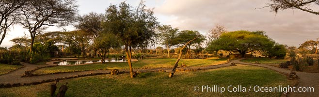 Tawi Lodge, luxury safari lodge, Kenya, Amboseli National Park