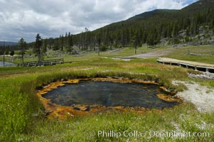 Terrace Spring near Madison Junction, Yellowstone National Park, Wyoming