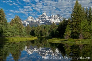 The Grand Tetons, reflected in the glassy waters of the Snake River at Schwabacher Landing, on a beautiful summer morning, Grand Teton National Park, Wyoming