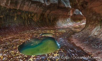 The Subway, a iconic eroded sandstone formation in Zion National Park