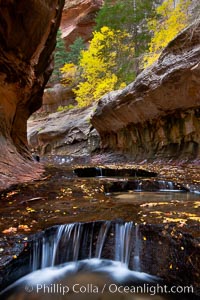 The Subway, a iconic eroded sandstone formation in Zion National Park
