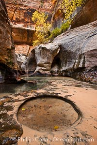 The Subway, a iconic eroded sandstone formation in Zion National Park