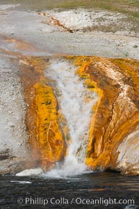 Thermophilac heat-loving bacteria color the runoff canals from Excelsior Geyser as it empties into the Firehole River, Midway Geyser Basin, Yellowstone National Park, Wyoming