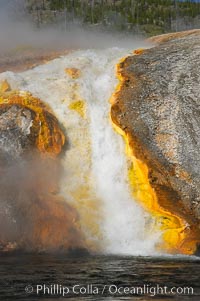 Thermophilac heat-loving bacteria color the runoff canals from Excelsior Geyser as it empties into the Firehole River, Midway Geyser Basin, Yellowstone National Park, Wyoming