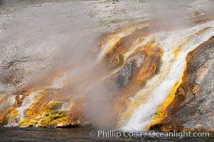 Thermophilac heat-loving bacteria color the runoff canals from Excelsior Geyser as it empties into the Firehole River. Midway Geyser Basin, Yellowstone National Park, Wyoming, USA, natural history stock photograph, photo id 13601