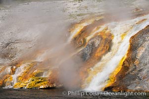 Thermophilac heat-loving bacteria color the runoff canals from Excelsior Geyser as it empties into the Firehole River, Midway Geyser Basin, Yellowstone National Park, Wyoming