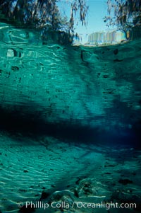 Three Sisters Springs, Crystal River, Florida