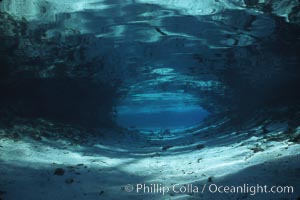 Three Sisters Springs, Crystal River, Florida