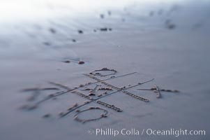 Tic-tac-toe in the sand on the beach, Ponto, Carlsbad, California