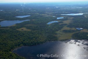 Ponds viewed from the air, somewhere along the coast of the Kenai Peninsula