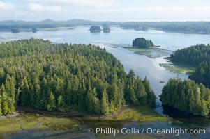 Lemmens Inlet viewed from Meares Island, with Tofino in the distance, aerial photo, on the west coast of Vancouver Island