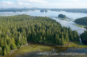 Lemmens Inlet viewed from Meares Island, with Tofino in the distance, aerial photo, on the west coast of Vancouver Island