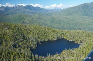 Densely forested Vancouver Island, aerial photo, near Tofino on the west coast of Vancouver Island