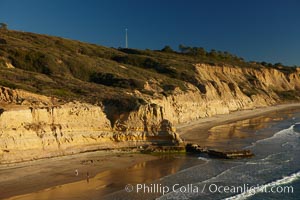 Torrey Pines seacliffs, rising up to 300 feet above the ocean, stretch from Del Mar to La Jolla.  On the mesa atop the bluffs are found Torrey pine trees, one of the rare species of pines in the world.