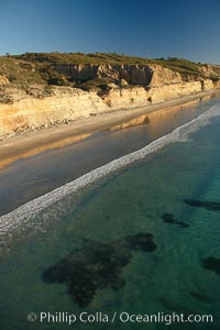 Torrey Pines seacliffs, rising up to 300 feet above the ocean, stretch from Del Mar to La Jolla.  On the mesa atop the bluffs are found Torrey pine trees, one of the rare species of pines in the world, Torrey Pines State Reserve, San Diego, California