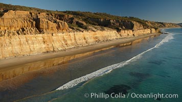 Torrey Pines seacliffs, rising up to 300 feet above the ocean, stretch from Del Mar to La Jolla.  On the mesa atop the bluffs are found Torrey pine trees, one of the rare species of pines in the world, Torrey Pines State Reserve, San Diego, California