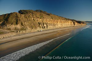 Torrey Pines seacliffs, rising up to 300 feet above the ocean, stretch from Del Mar to La Jolla.  On the mesa atop the bluffs are found Torrey pine trees, one of the rare species of pines in the world, Torrey Pines State Reserve, San Diego, California