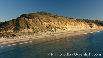 Torrey Pines seacliffs, rising up to 300 feet above the ocean, stretch from Del Mar to La Jolla.  On the mesa atop the bluffs are found Torrey pine trees, one of the rare species of pines in the world, Torrey Pines State Reserve, San Diego, California