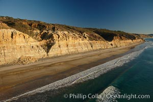 Torrey Pines seacliffs, rising up to 300 feet above the ocean, stretch from Del Mar to La Jolla.  On the mesa atop the bluffs are found Torrey pine trees, one of the rare species of pines in the world, Torrey Pines State Reserve, San Diego, California
