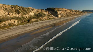 Torrey Pines seacliffs, rising up to 300 feet above the ocean, stretch from Del Mar to La Jolla.  On the mesa atop the bluffs are found Torrey pine trees, one of the rare species of pines in the world, Torrey Pines State Reserve, San Diego, California