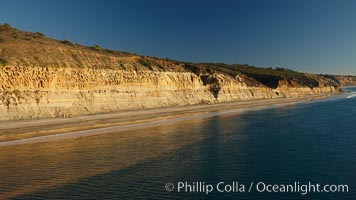 Torrey Pines seacliffs, rising up to 300 feet above the ocean, stretch from Del Mar to La Jolla.  On the mesa atop the bluffs are found Torrey pine trees, one of the rare species of pines in the world, Torrey Pines State Reserve, San Diego, California