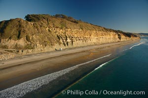 Torrey Pines seacliffs, rising up to 300 feet above the ocean, stretch from Del Mar to La Jolla.  On the mesa atop the bluffs are found Torrey pine trees, one of the rare species of pines in the world, Torrey Pines State Reserve, San Diego, California