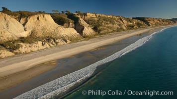 Torrey Pines seacliffs, rising up to 300 feet above the ocean, stretch from Del Mar to La Jolla.  On the mesa atop the bluffs are found Torrey pine trees, one of the rare species of pines in the world, Torrey Pines State Reserve, San Diego, California