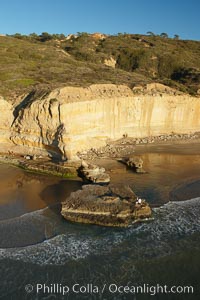 Torrey Pines seacliffs, rising up to 300 feet above the ocean, stretch from Del Mar to La Jolla.  On the mesa atop the bluffs are found Torrey pine trees, one of the rare species of pines in the world.