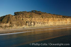 Torrey Pines seacliffs, rising up to 300 feet above the ocean, stretch from Del Mar to La Jolla.  On the mesa atop the bluffs are found Torrey pine trees, one of the rare species of pines in the world.