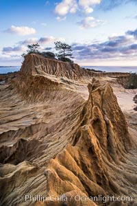 Torrey Pines storm clouds at sunset, Torrey Pines State Reserve, San Diego, California