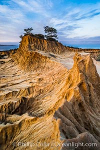 Torrey Pines State Reserve, Broken Hill at Dawn, San Diego, California